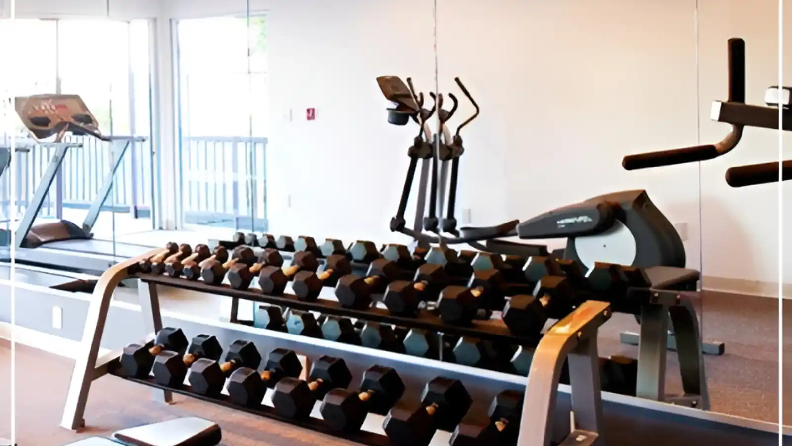 DLF-Samavana-Studi-Apartments-and-Plots-Himachal-Pradesh-gym